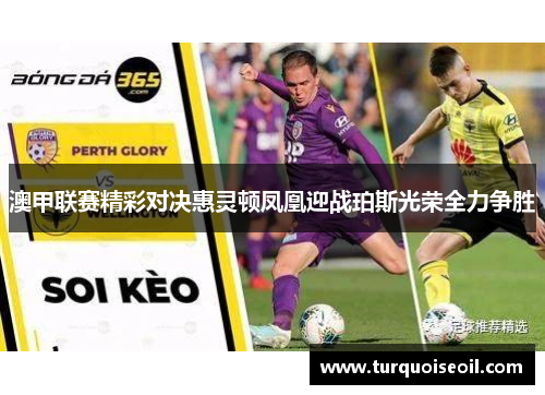 澳甲联赛精彩对决惠灵顿凤凰迎战珀斯光荣全力争胜